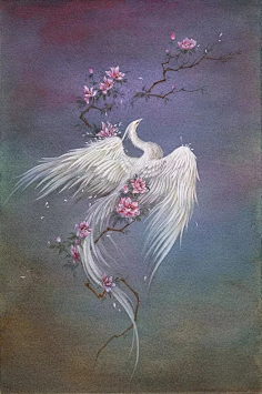 山海经插画