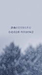 人生若只如初见唯美图片