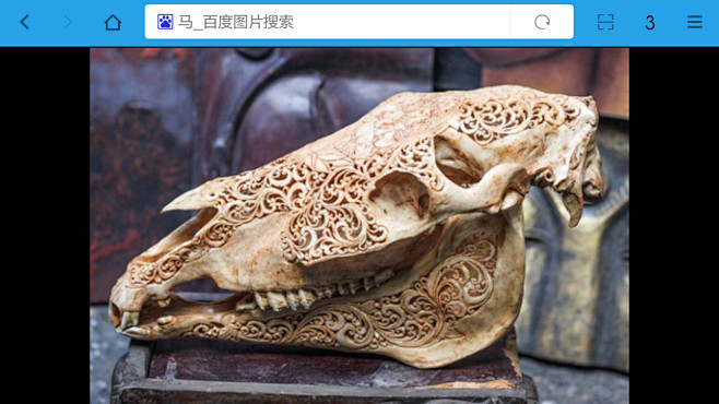 马头骨