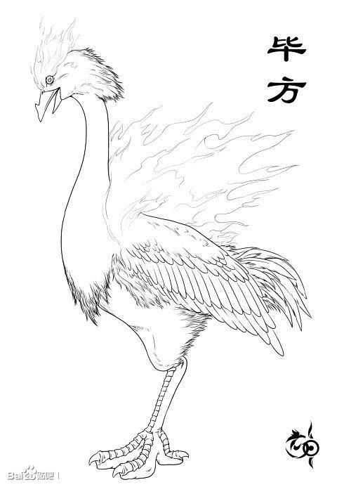 490_693竖版 竖屏