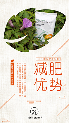 电商 减肥瘦身 发圈海报