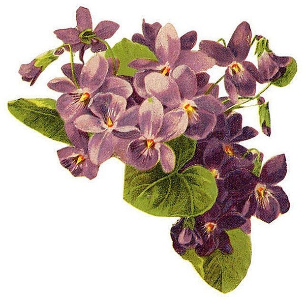 复古花