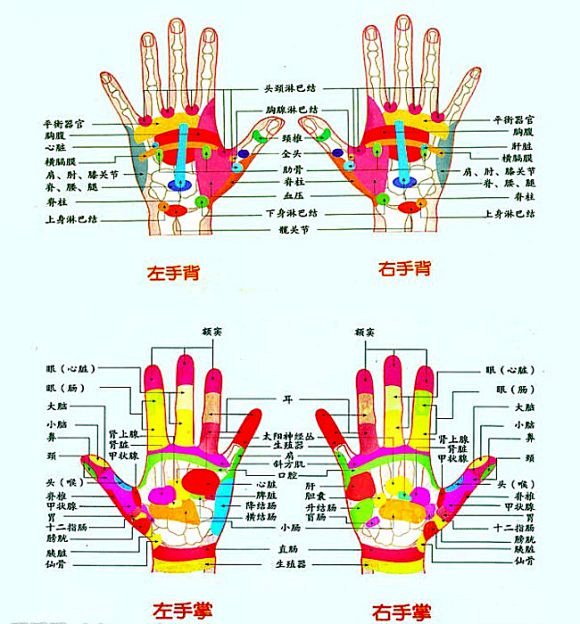 图手部反射区图