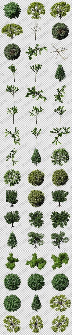 ps素材-花瓣网|陪你做生活的设计师 鲜花 花丛 灌木 园林 景观 后期