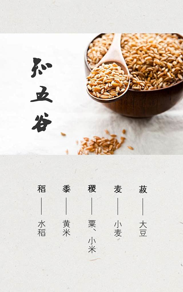 五谷包含稻,黍,稷,麦,菽