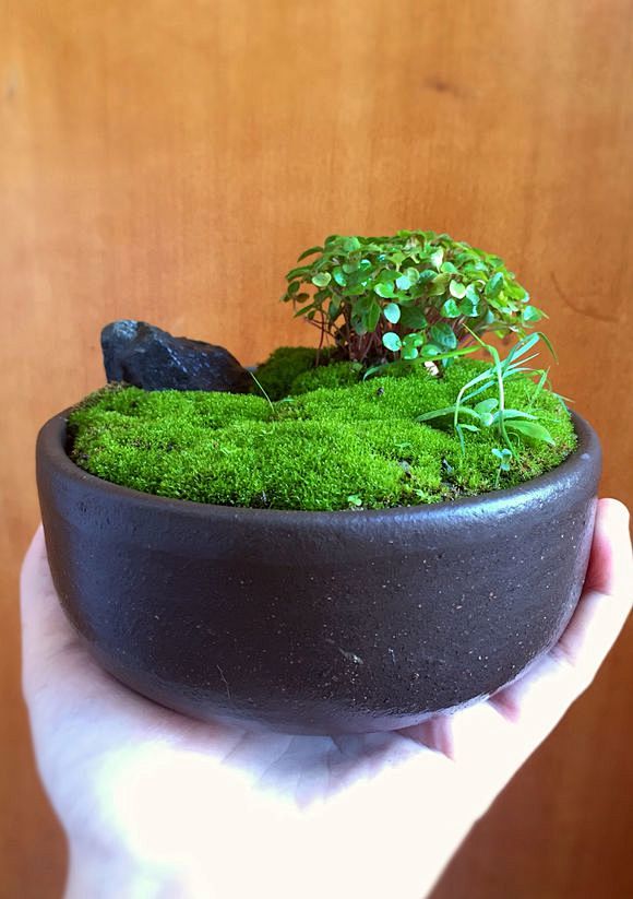 微观造景