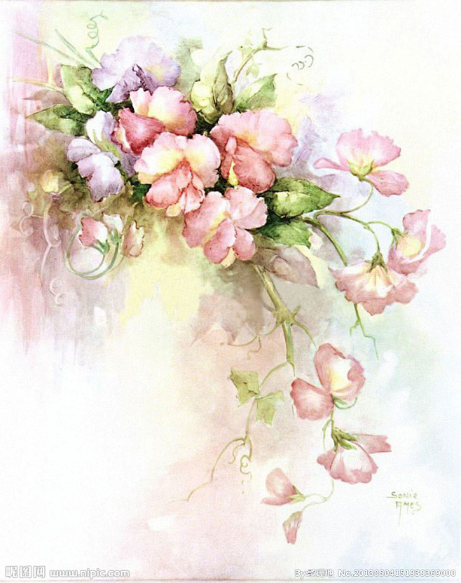 水彩画-花瓣网|陪你做生活的设计师 | 俄罗斯水彩花卉