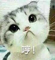 表情包