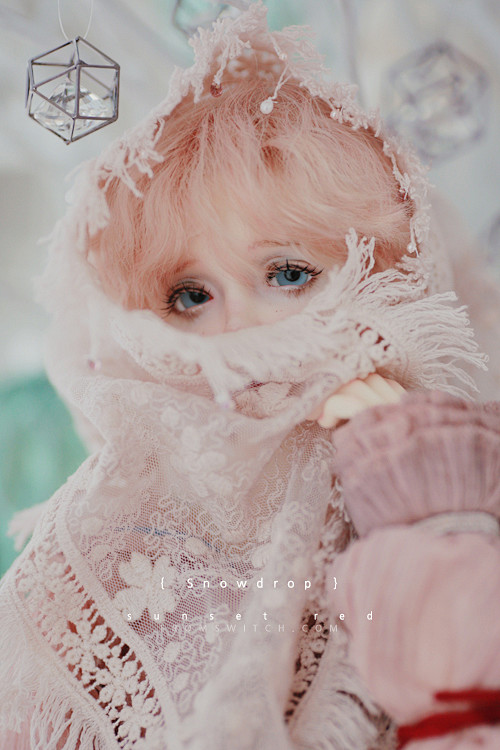 bjd#娃娃