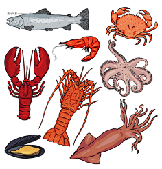 食物 餐饮美食 海鲜 动物 鱼 螃蟹 龙虾 虾 章鱼 贝壳 餐饮 #矢量素材