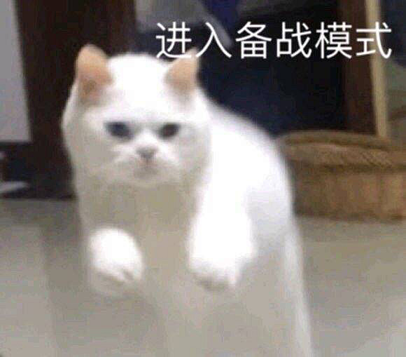 萌(猫咪表情包)