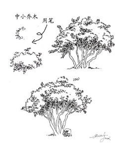 花草树木-花瓣网|陪你做生活的设计师 | 稿风景场景
