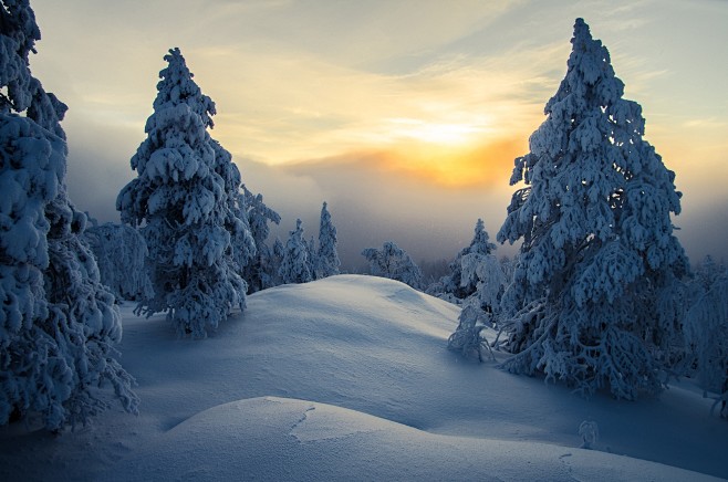 雪之国