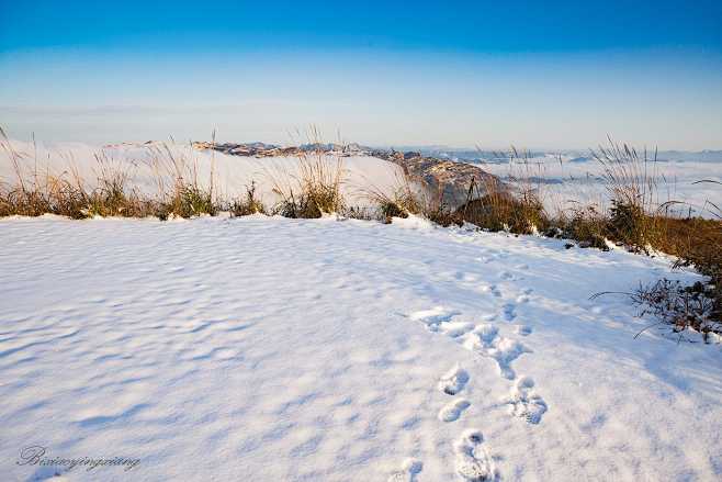 雪地雪脚印