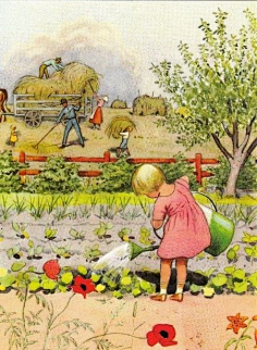 com "baier"s orchard" by sharon ascherl pinterest.