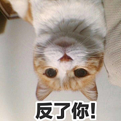 聊天表情包搞笑斗图