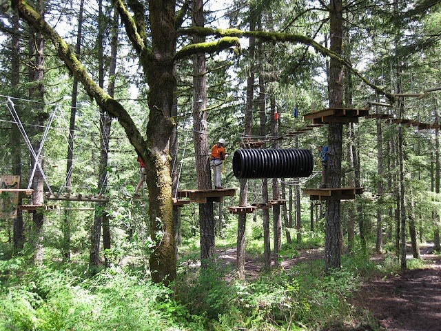 树上探险丛林飞越森林探险冒险树treetop规划设计建设历奇探险