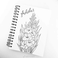 植物线稿-花瓣网|陪你做生活的设计师 植物线描画,花卉
