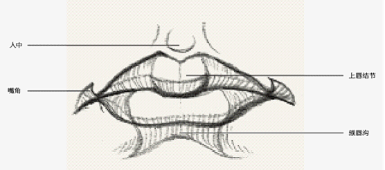 嘴部结构