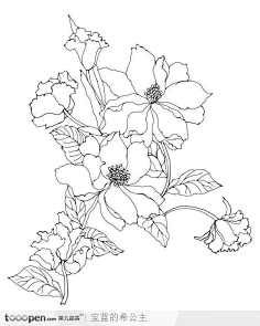 花-花瓣网|陪你做生活的设计师 | 一丈红. #手绘彩铅画