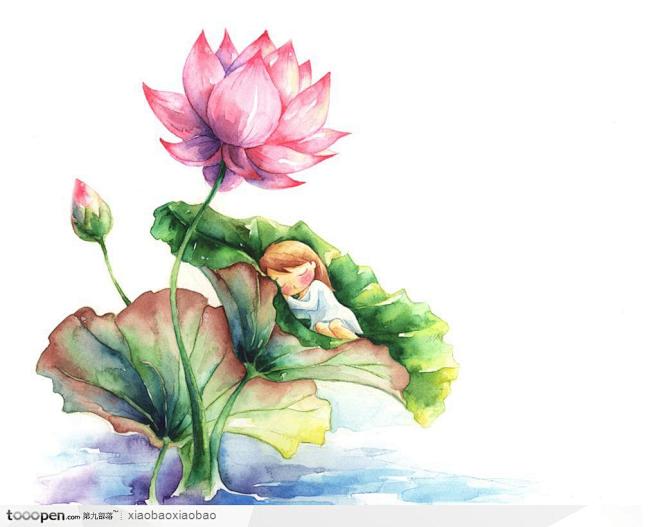 手绘童话插画素材荷叶上的拇指姑娘