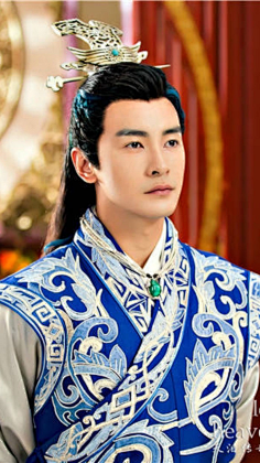 com 《天泪传奇之凤凰无双 》郑元畅 古装.
