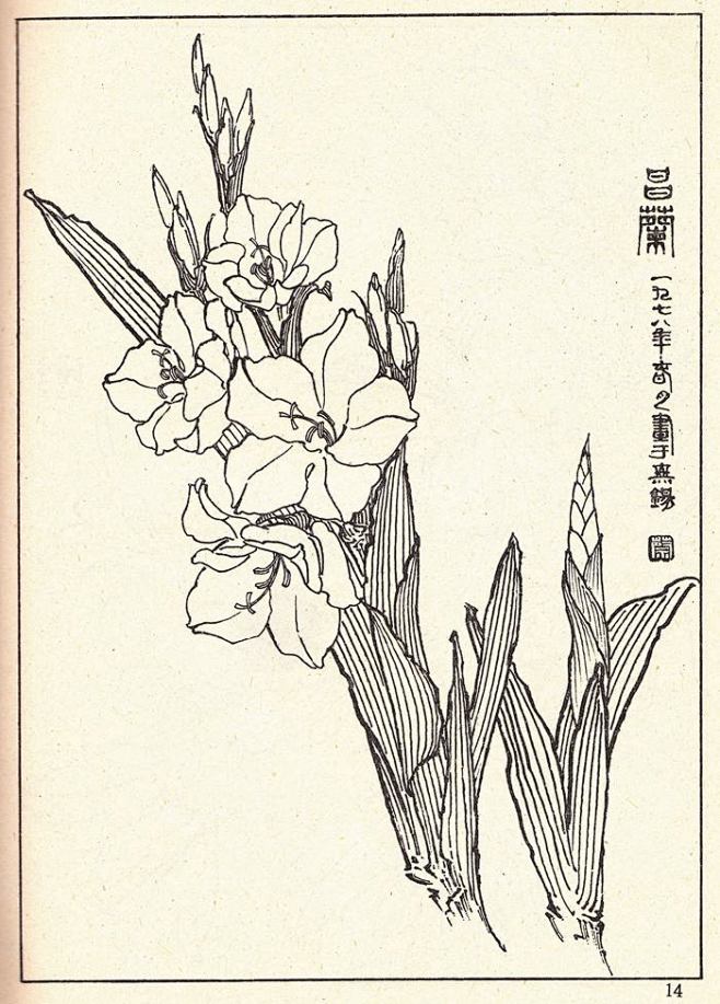花卉线描参考资料