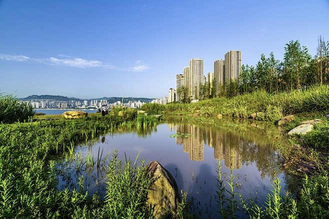 滨水河岸湿地公园