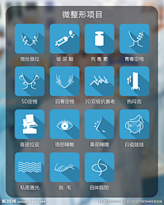 小荣逯采集到医美 采集 nipic.com 整形图标 微整形项目图标