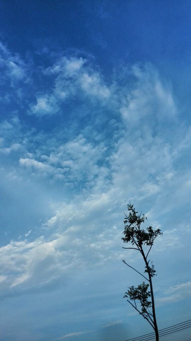 小清新雨过天晴终要好天气世间予我千万种满心欢喜沿途逐枝怒放全部