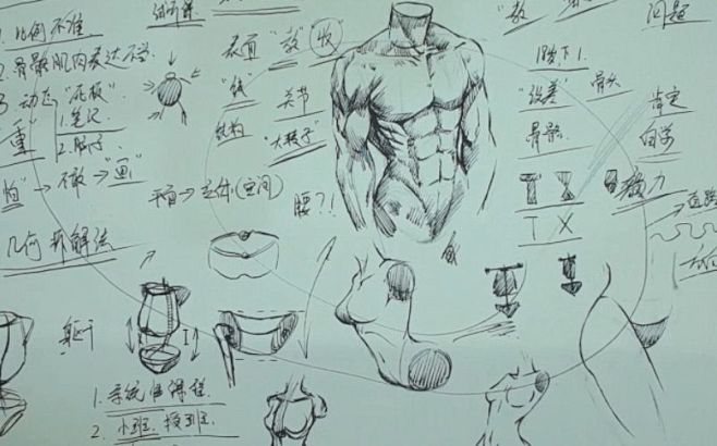 com 学画人体素描必须了解人体比例 baijiahao.baidu.