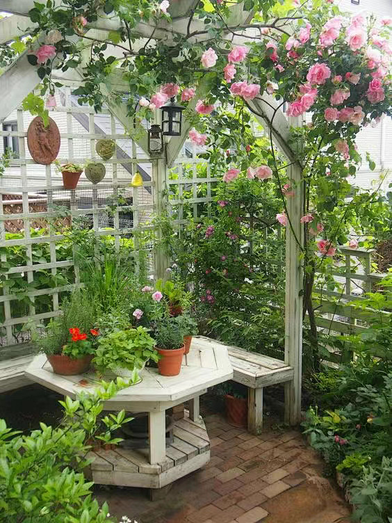 菜园,花园