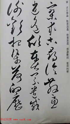 怀素千字文草书帖