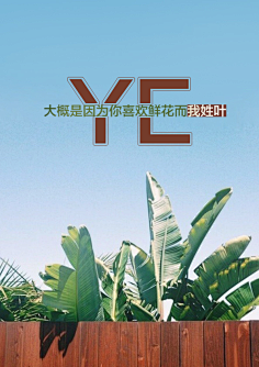 姓氏/文字语录 / 乡巴佬鲍比希尔