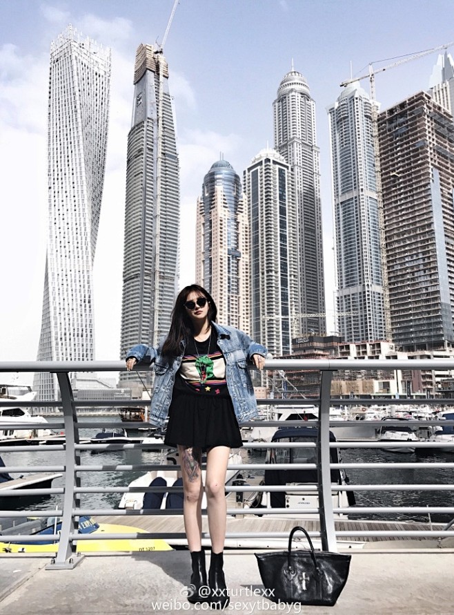 大家好 你的皮皮龟已上线 2阿联酋·迪拜