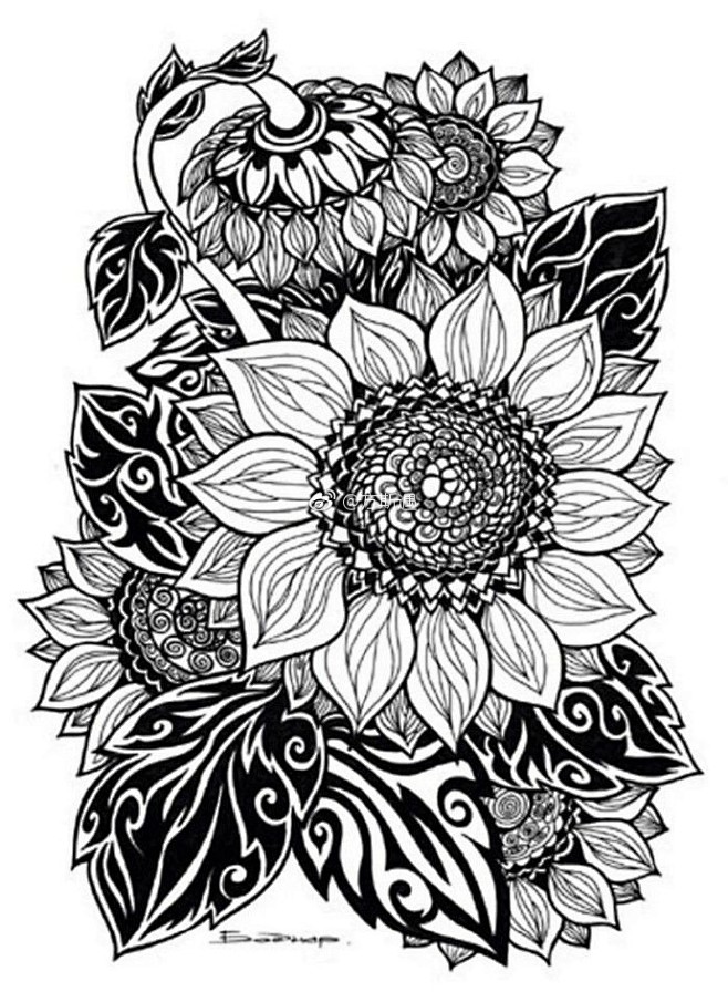 cn 黑白装饰画,线描花朵 3 m.toutiaocdn.