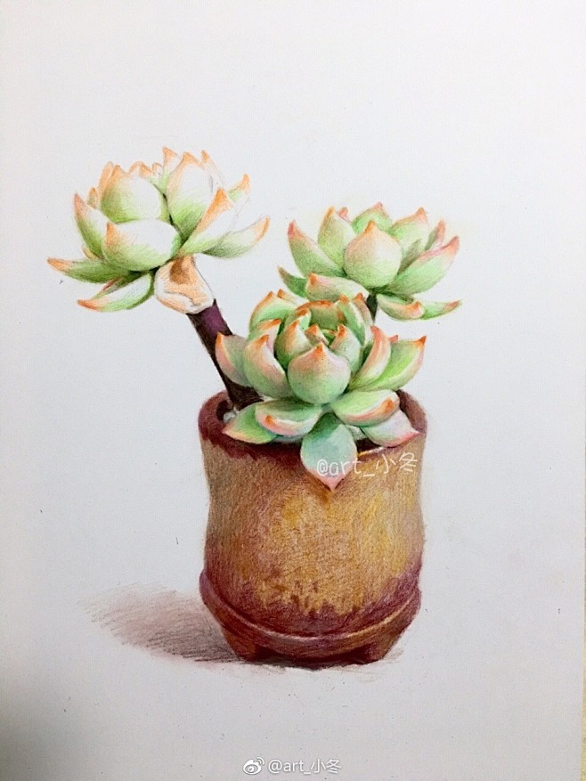 彩铅画