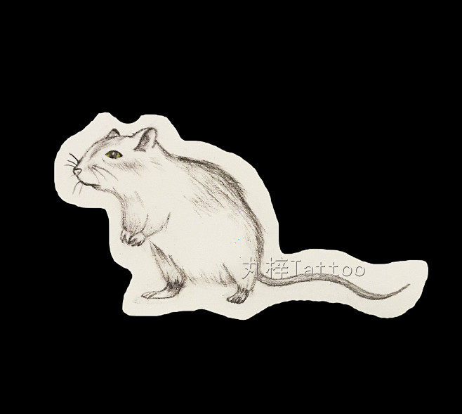 十二生肖之子鼠属相纹身手稿老鼠也可以萌萌的适合手臂脚踝清新风格不