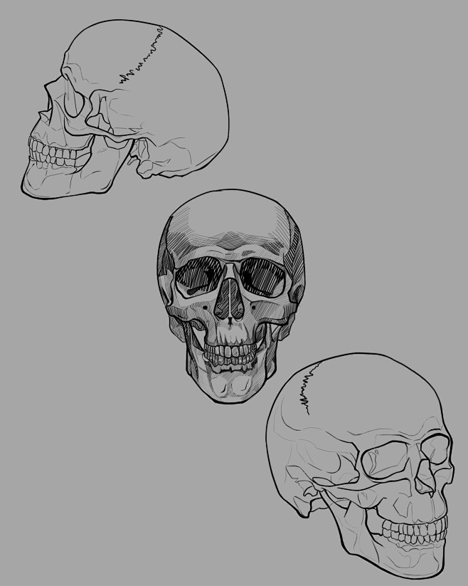 线稿头骨