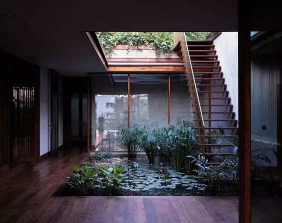 中庭/内庭/天井空间景观