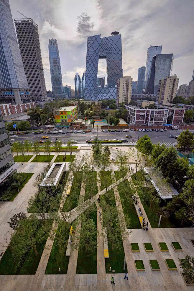 树阵景观-格式网|陪你做生活的设计师|thcourtand设计实验花瓣图片