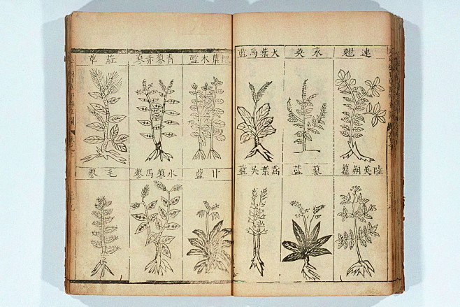 com 《本草纲目》(compendium of materia medica)是由明朝伟大的医药