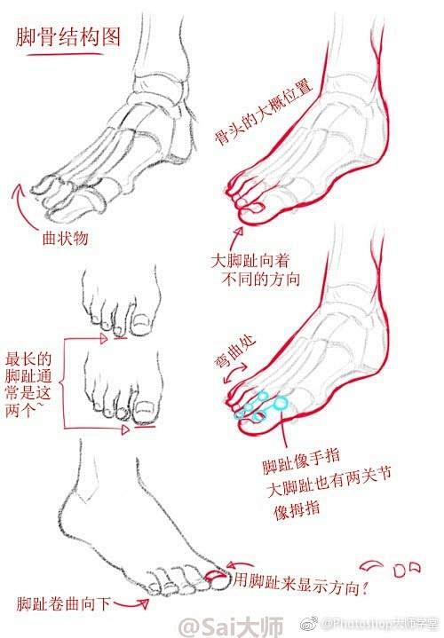 动漫绘画学习脚怎么画附素材压缩包下载