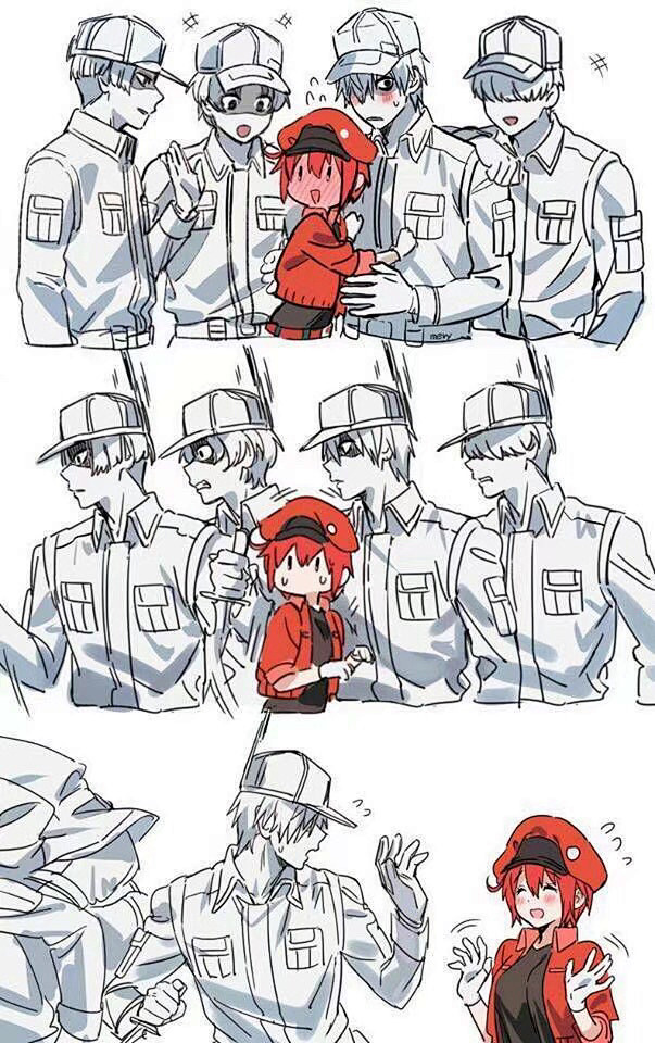 工作细胞