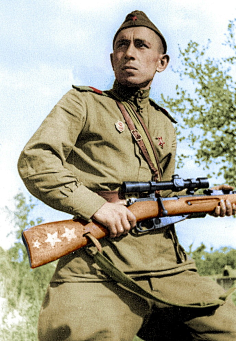 苏维埃(达瓦里氏)