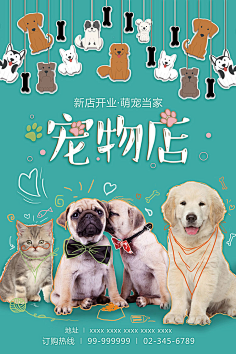 宠物易拉宝