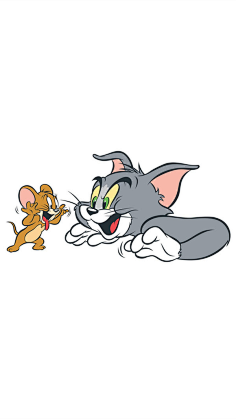 猫和老鼠