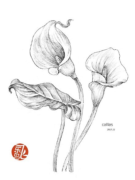 插画铅笔画