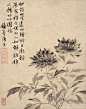 明 唐寅《牡丹图】轴,纸本设色,41×33cm.