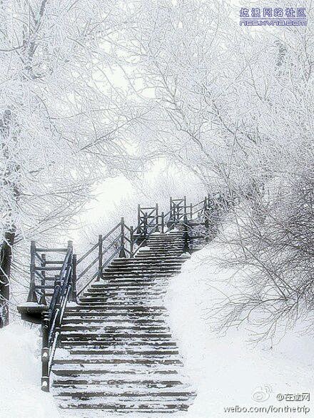 古风摄影-花瓣网|陪你做生活的设计师 | · 江南雪景